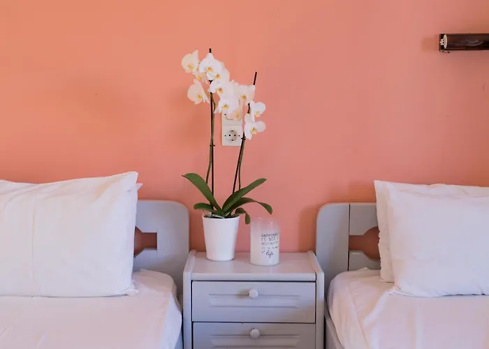 Socrates Studio Laganas