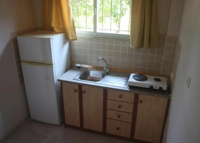 Pet friendly Maria Studios Laganas