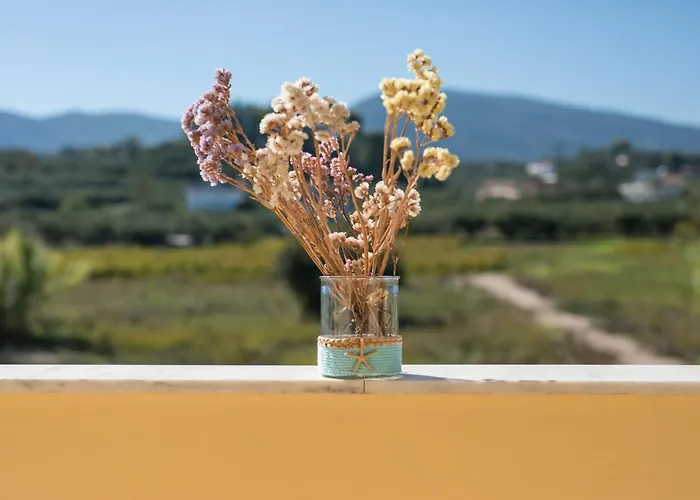 Hotel Club Zante Plaza Laganas