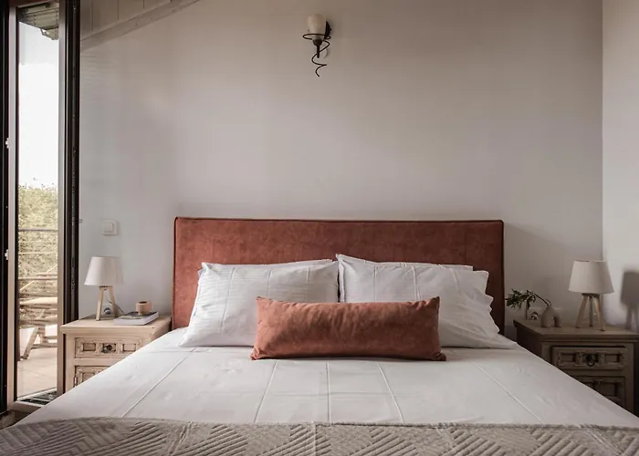 Viatzo Villas - Eclectic Villas With Heated Saltwater Pools Mouzakion 
