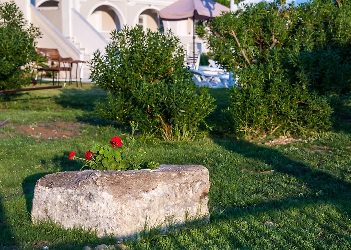 Klelia Beach Hotel By Zante Plaza Καλαμάκι