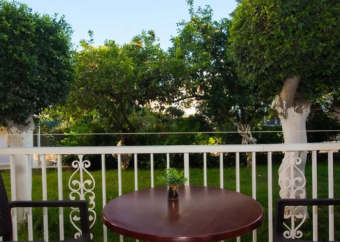 Pet friendly Olga Studios - 3 Tsilivi 
