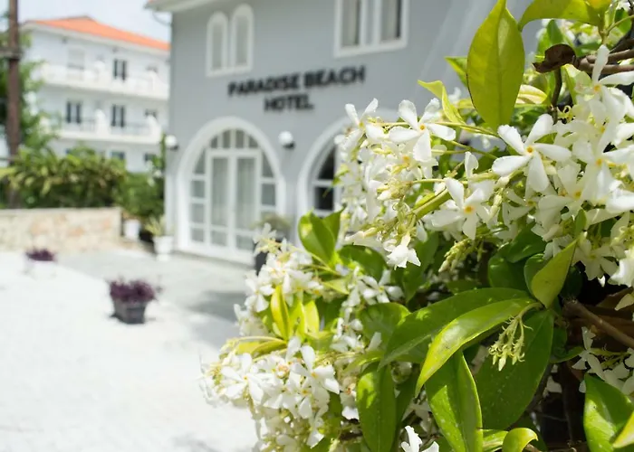 Paradise Beach Hotel Argassi